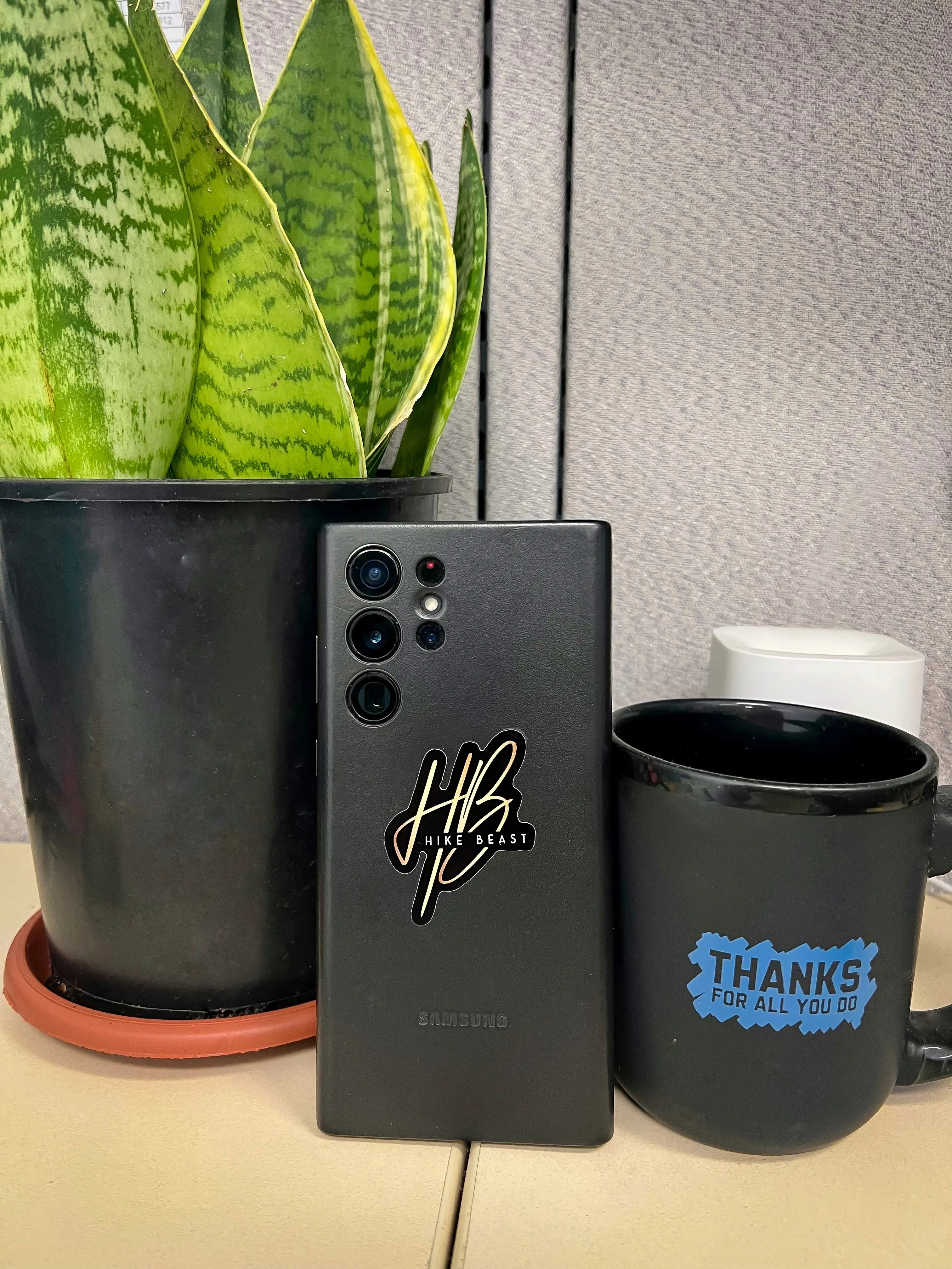 HIKE BEAST STICKERS