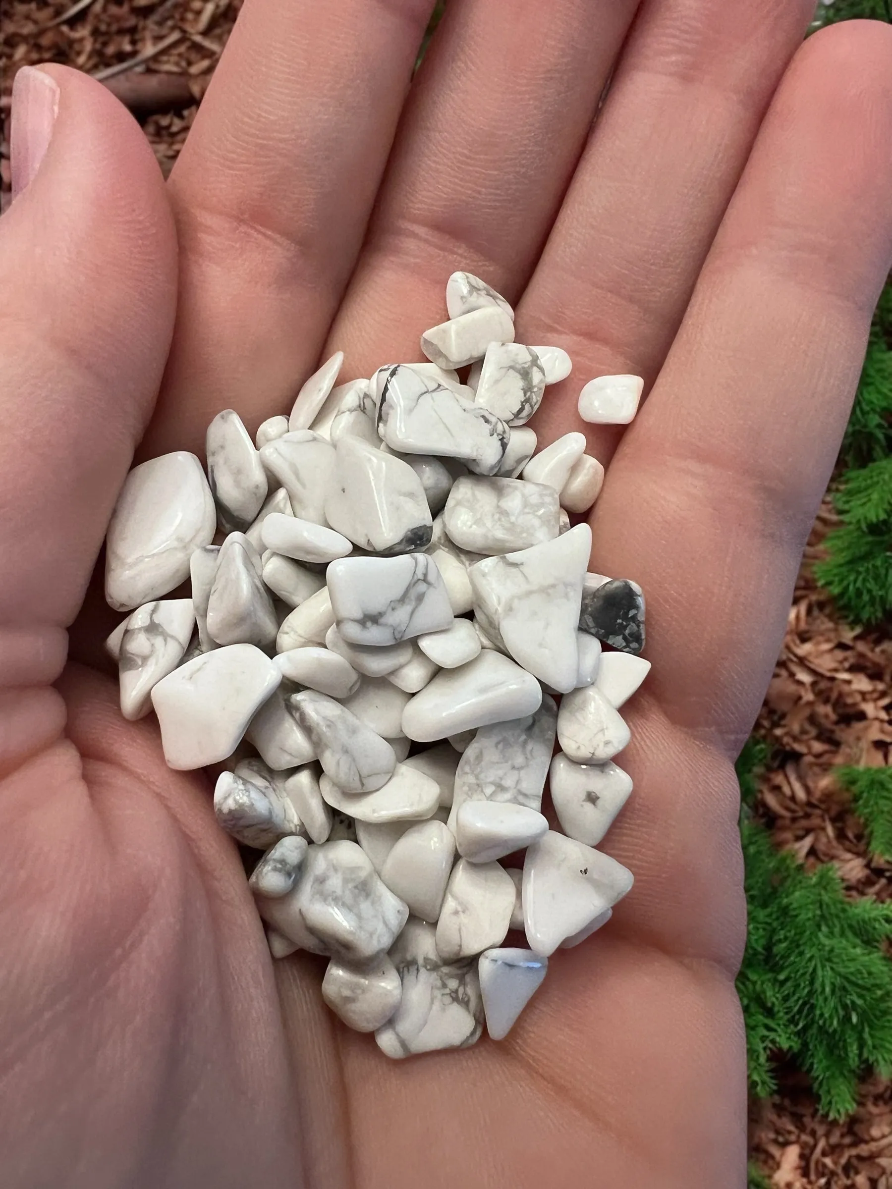 Howlite Gemstone Chips