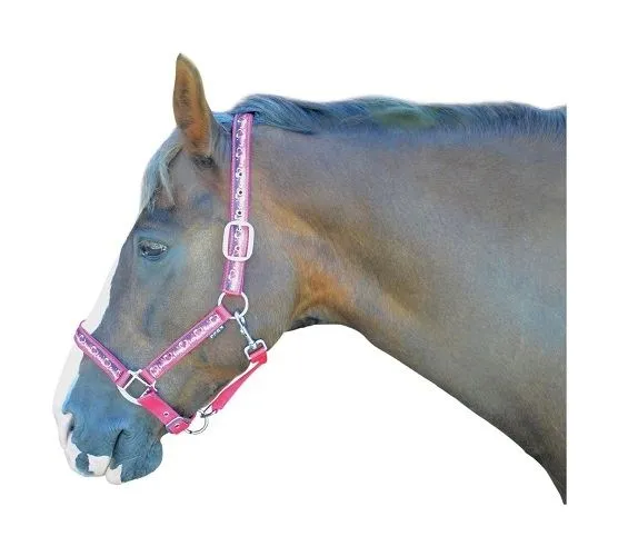 Hy Padded Tail Guard