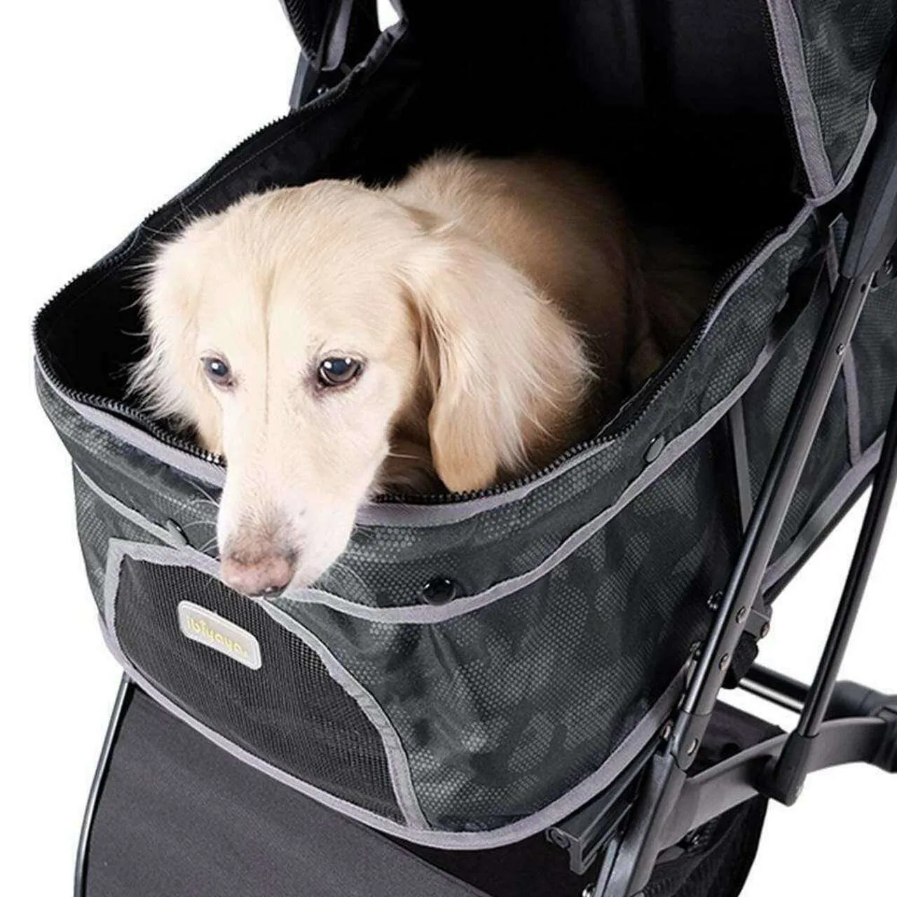 Ibiyaya Speedy Fold Dog Pram