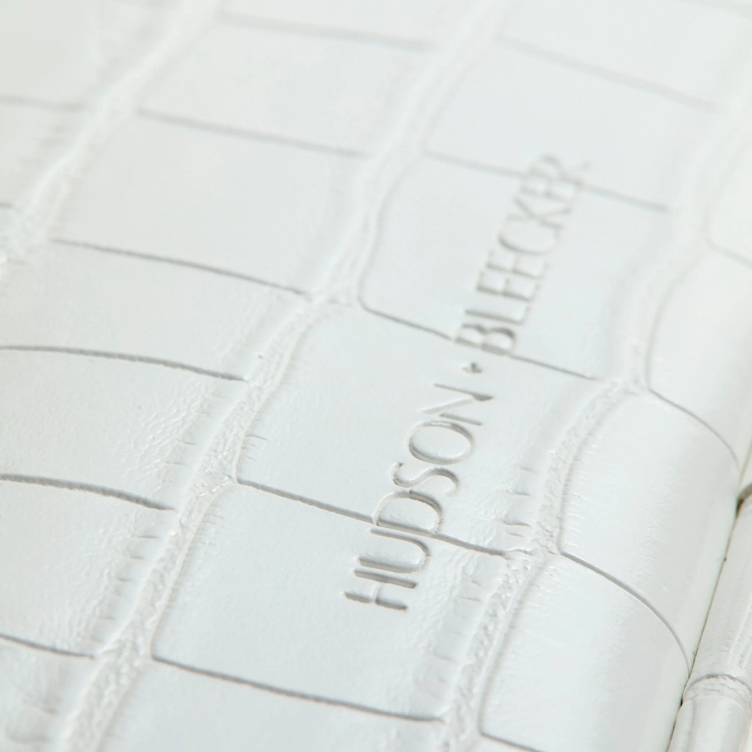 Jetsetter Train Case - White Crocodile