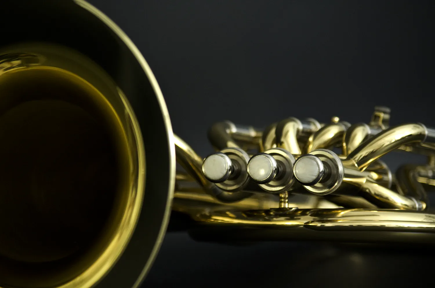 John Packer JP173 Student Baritone Horn w/Case, Gold Lacquer (Sold Out)