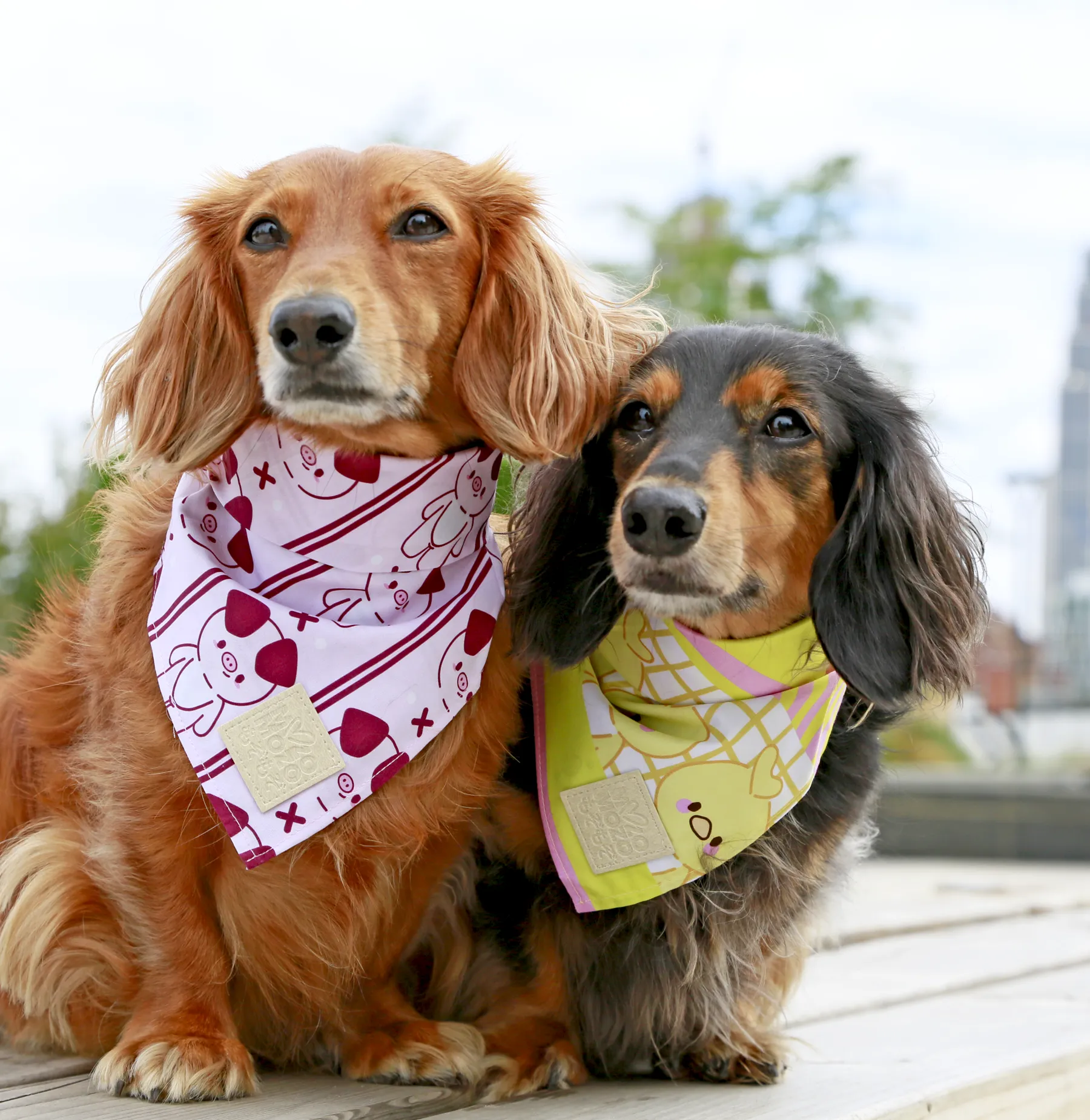 Kobuta bandana ✦RARE✦ •⚇•