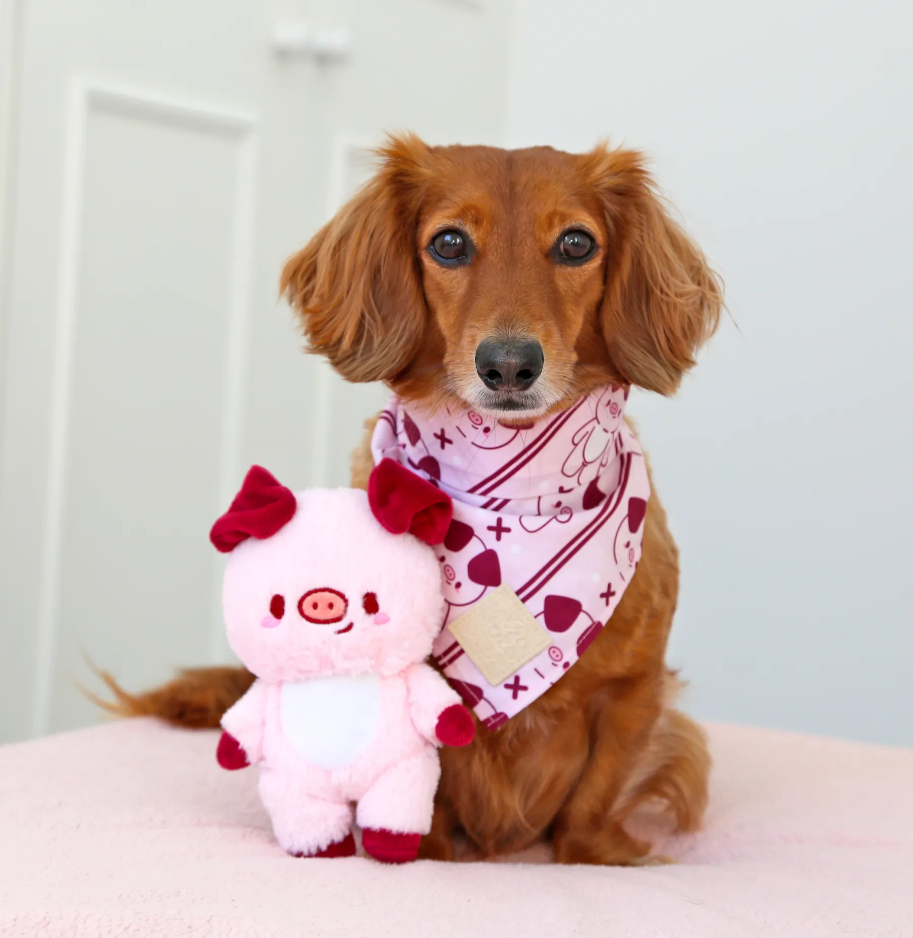 Kobuta bandana ✦RARE✦ •⚇•