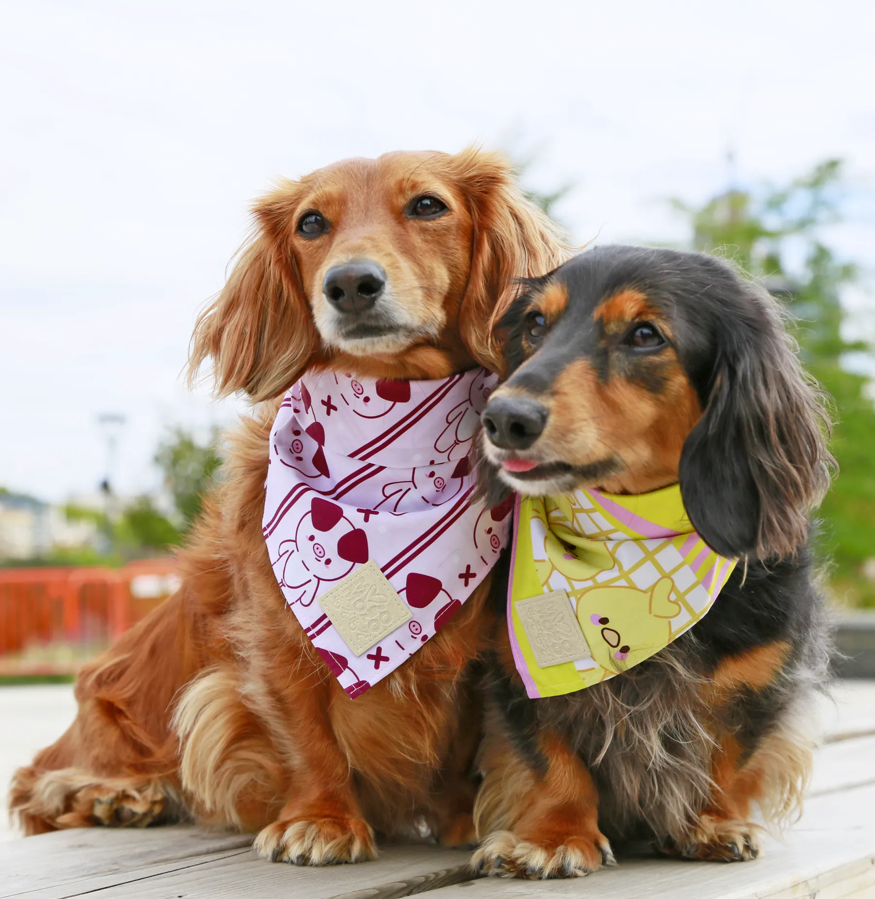 Kobuta bandana ✦RARE✦ •⚇•