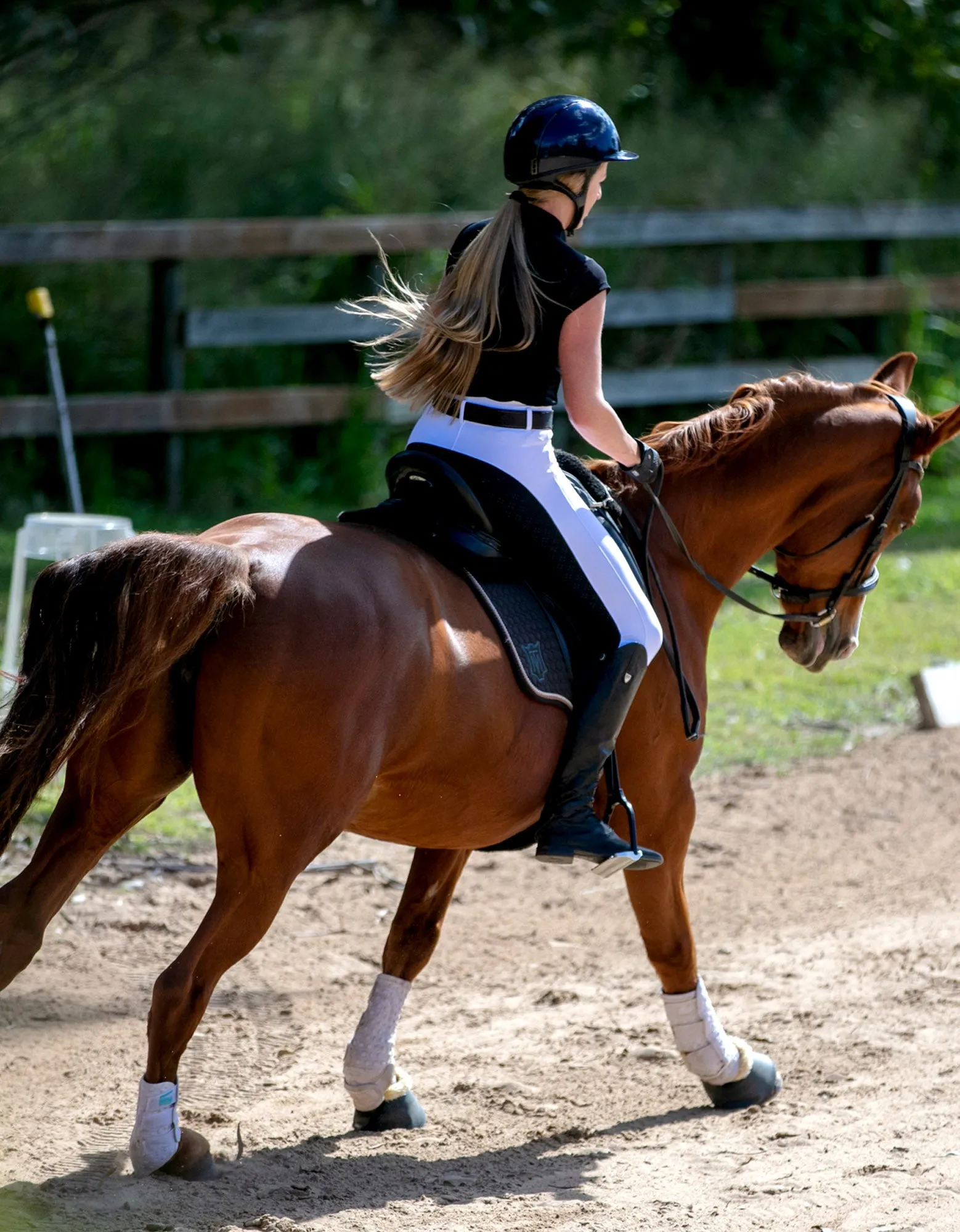Ladies & Teen Rosette White Breeches with Black Seat