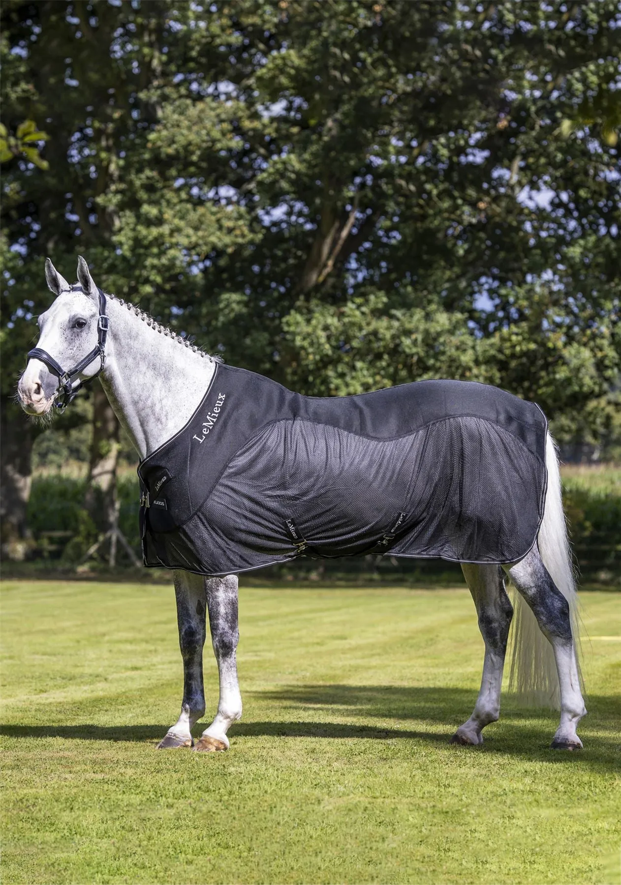 LeMieux Kudos Mesh Sports Cooler Rug