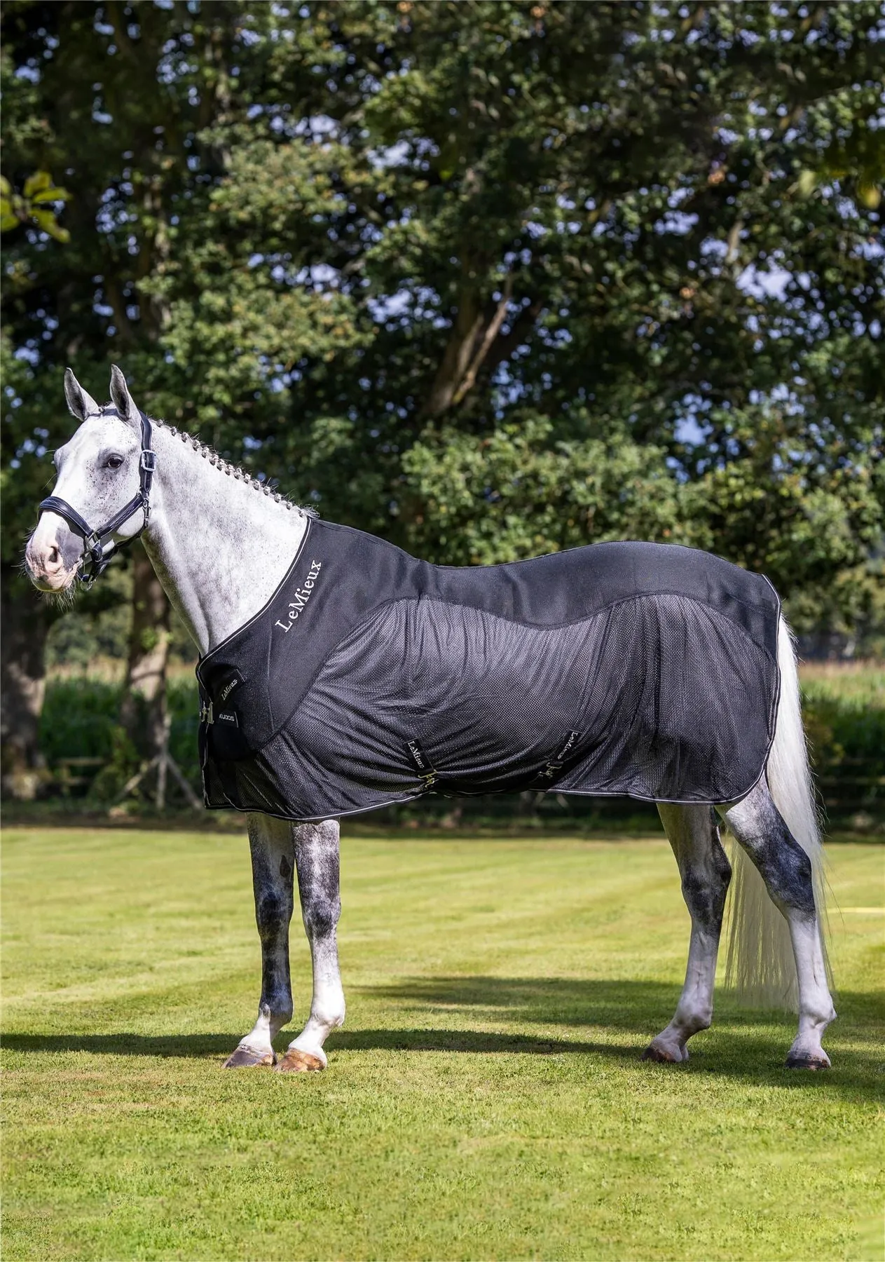 LeMieux Kudos Mesh Sports Cooler Rug