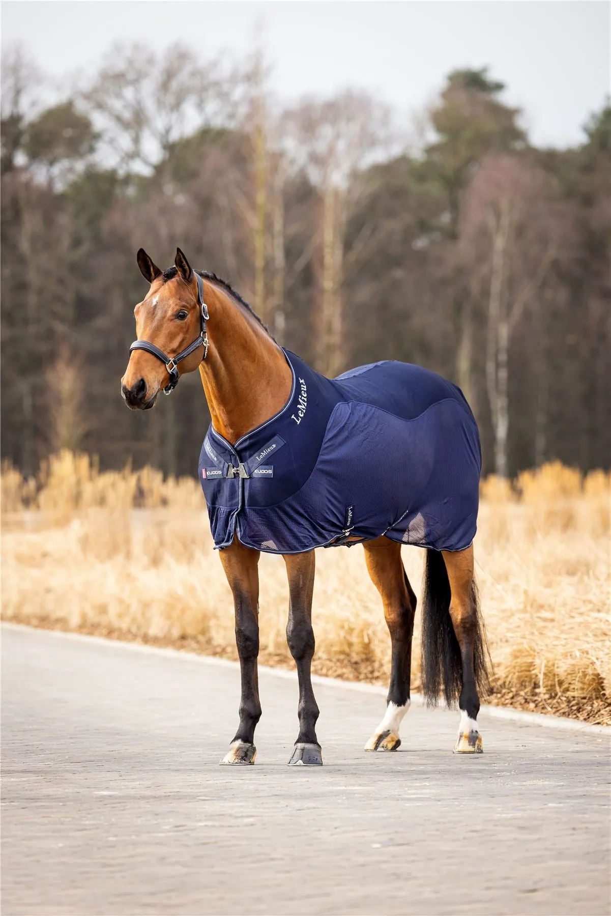 LeMieux Kudos Mesh Sports Cooler Rug
