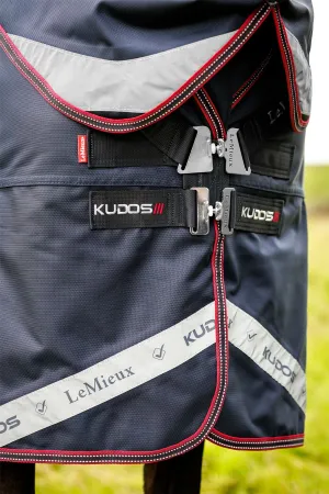 LeMieux Kudos Thermo Layer Turnout Rug 300g
