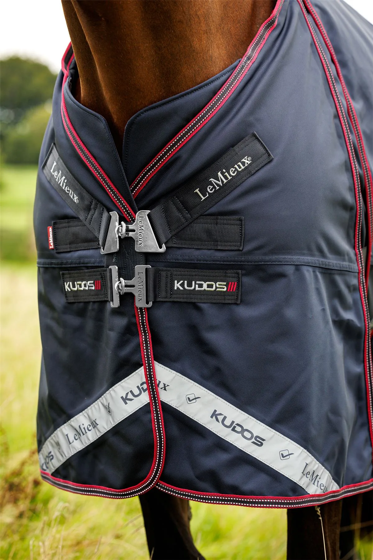 LeMieux Kudos Thermo Layer Turnout Rug 300g