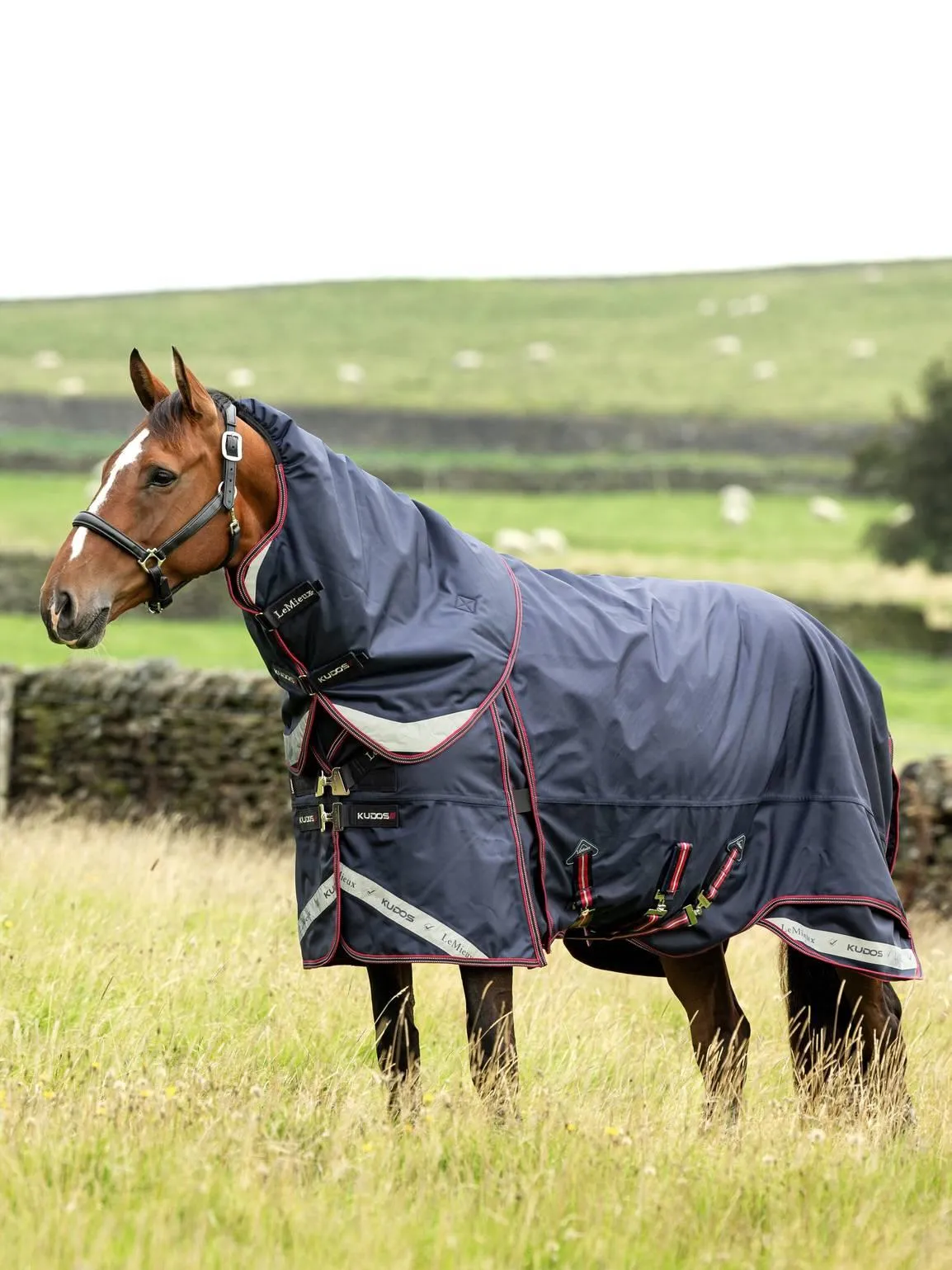 LeMieux Kudos Thermo Layer Turnout Rug 300g
