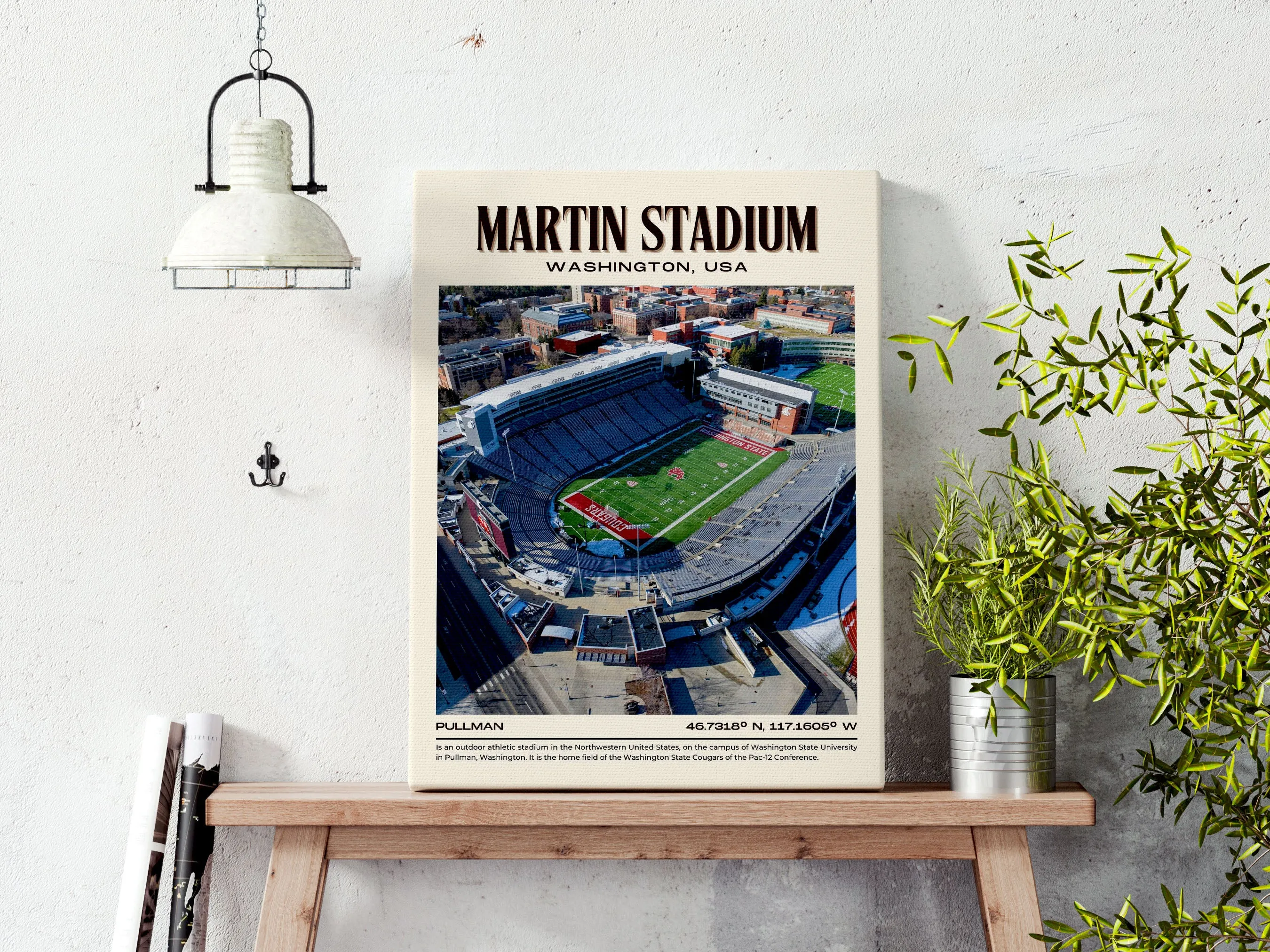 Martin Stadium Football Retro Wall Art