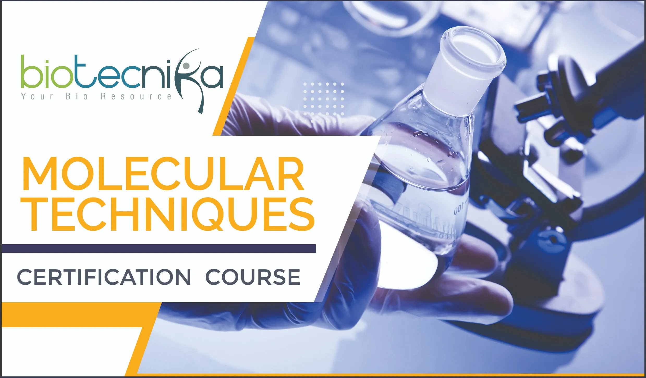 Molecular Biology Techniques Certification Course