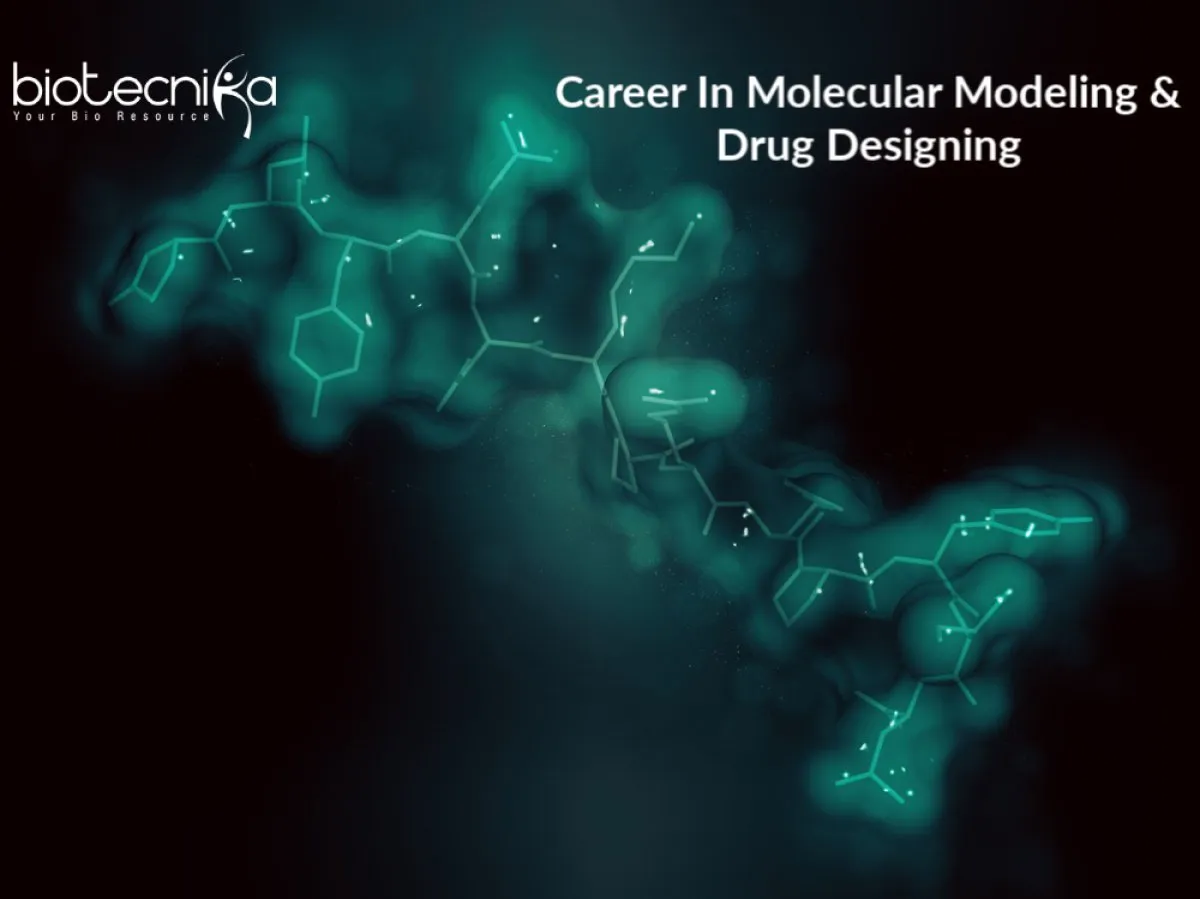 Molecular Modelling Online Certification Course