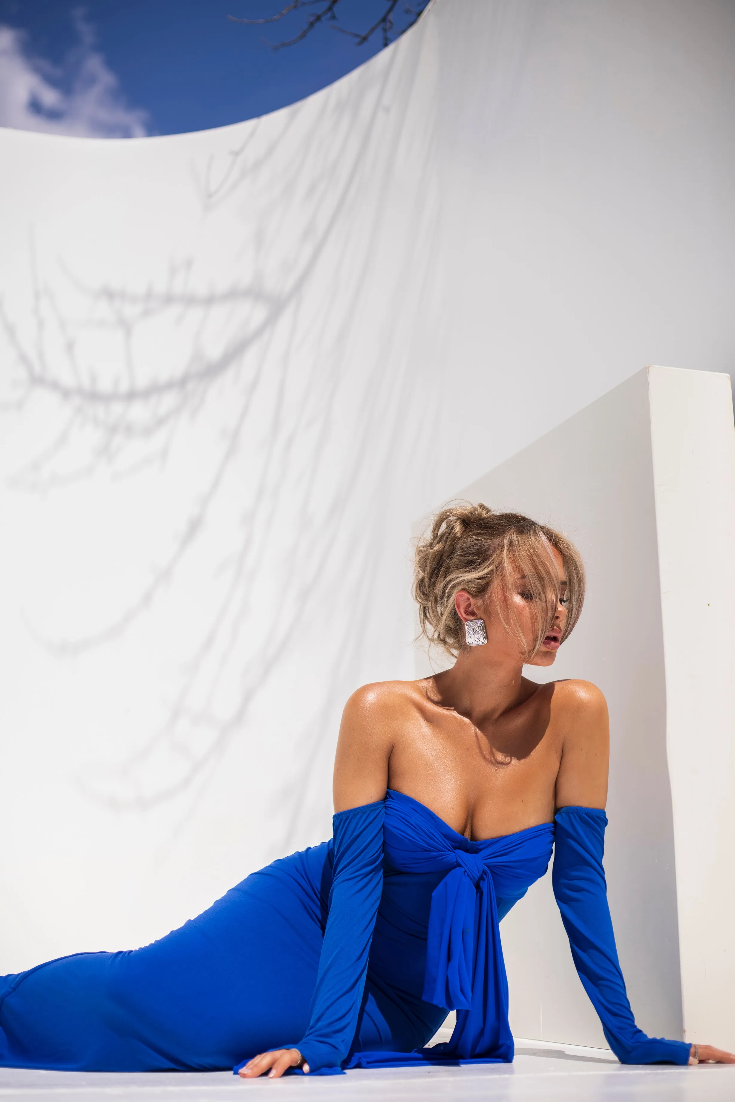 Nellie Royal Blue Dress