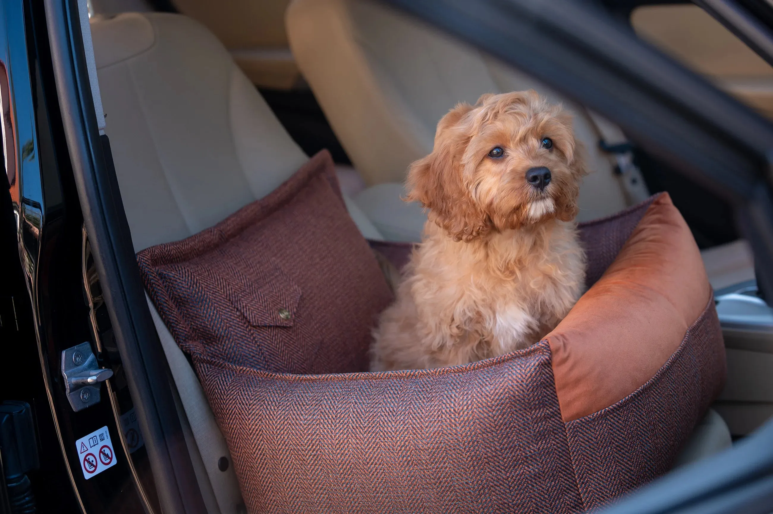 Oh Charlie Dog Car Seat Bed Winston