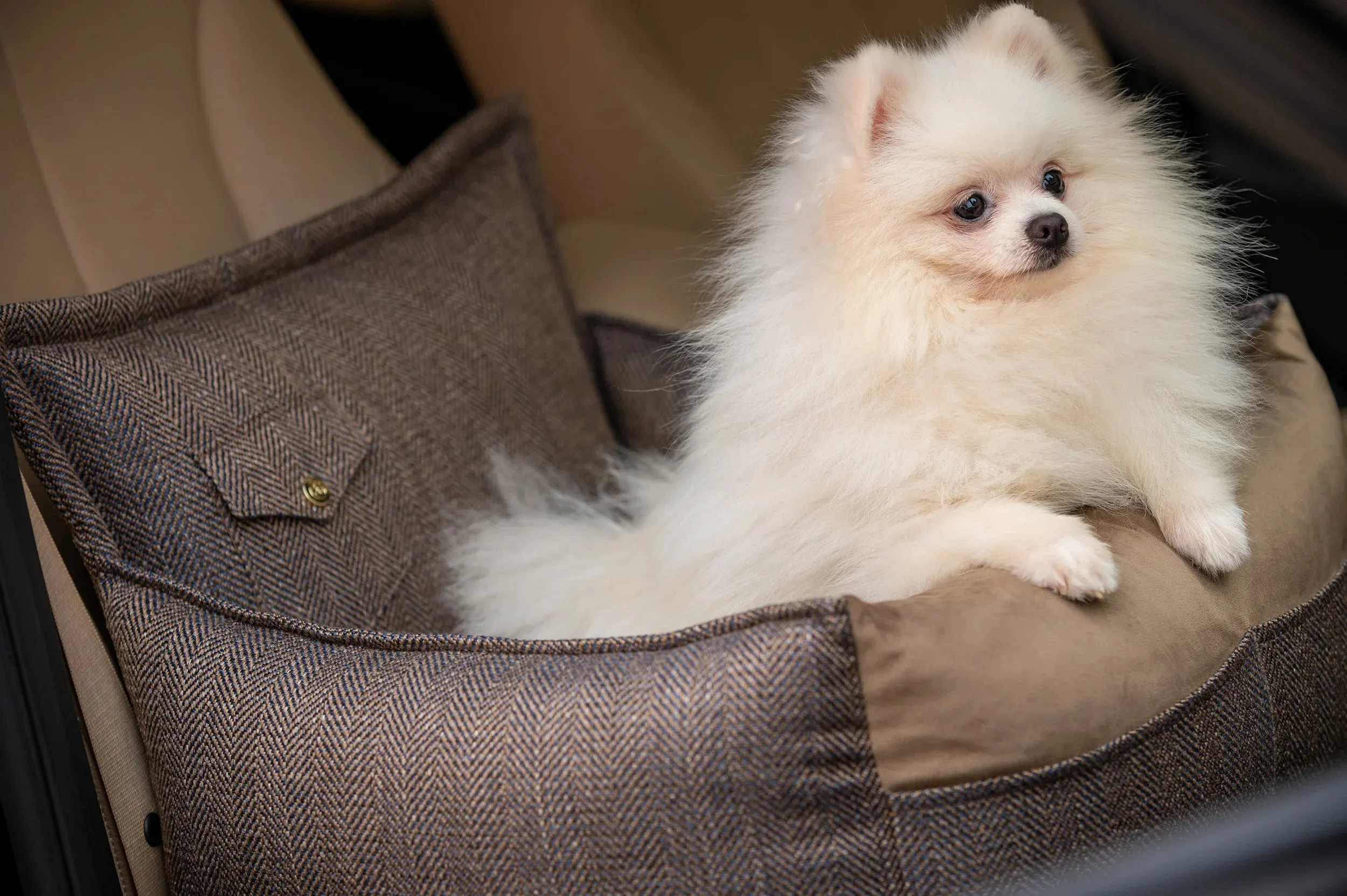 Oh Charlie Dog Car Seat Bed Winston