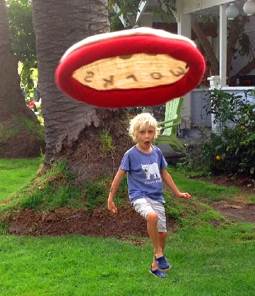 Organic Hemp Frisbee [from Hippo Works] - Truly A One Of A Kind!