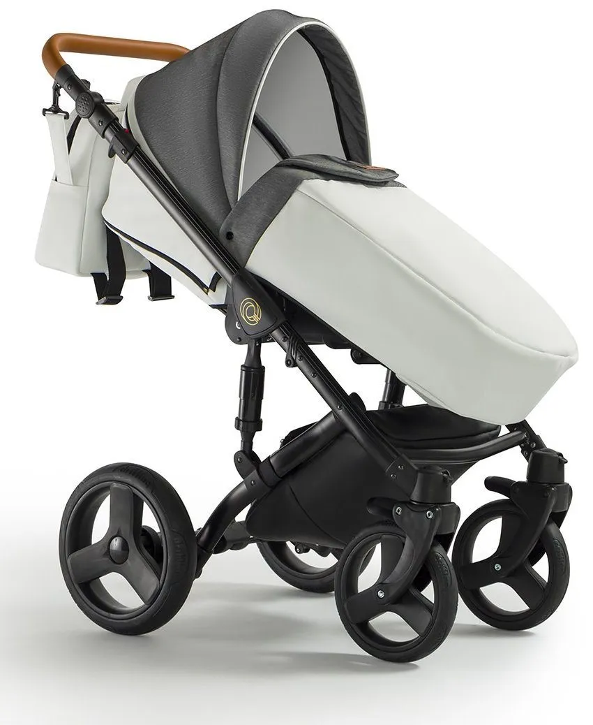 Orion Stroller 3in1