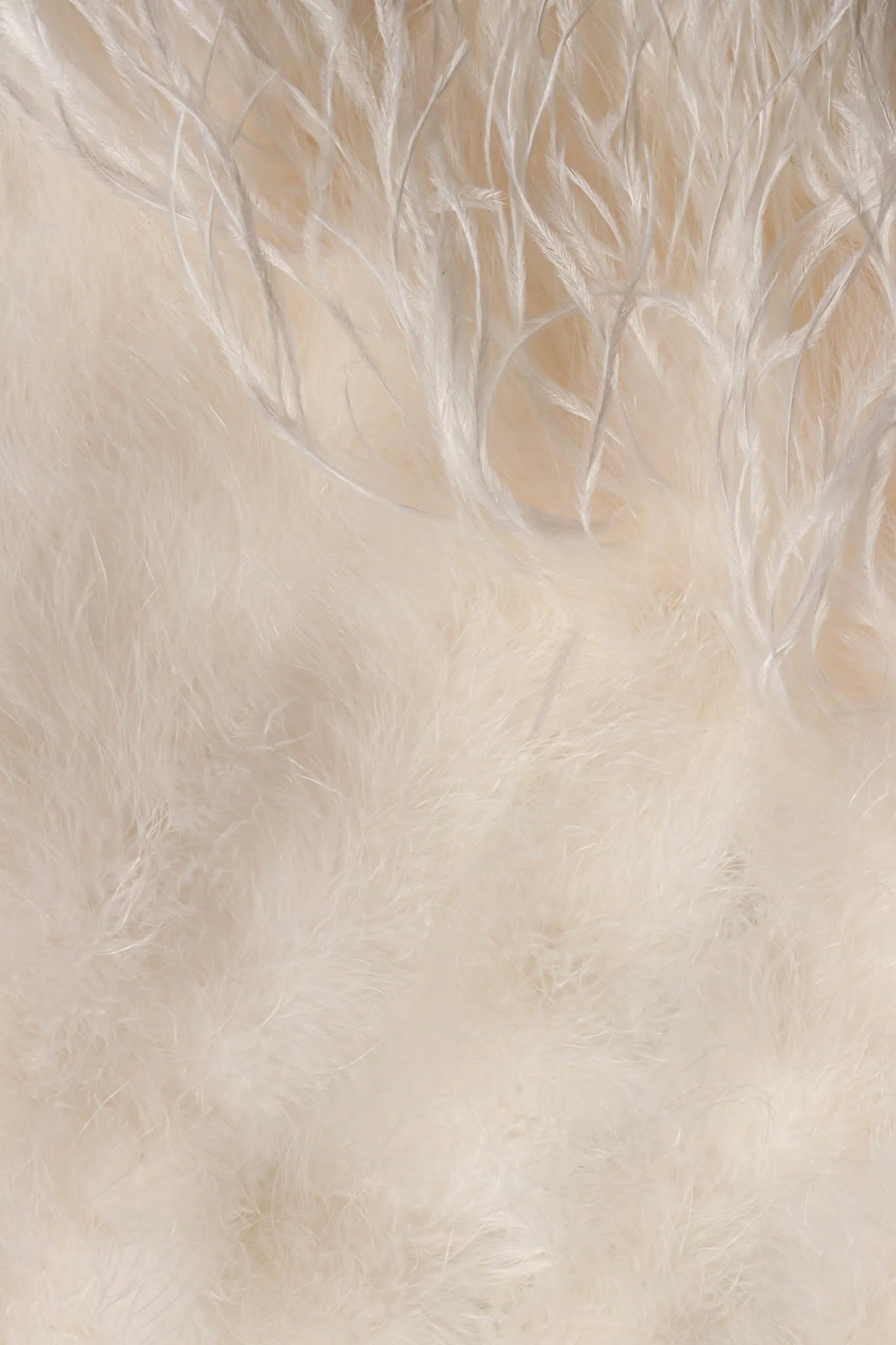 Ostrich Feather Jacket