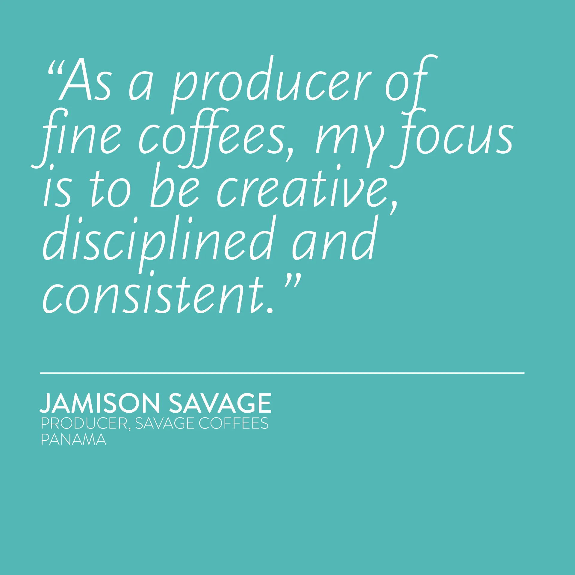 PANAMA Savage Coffees Finca Deborah Echo Geisha Carbonic Macerated Cascara Infused Washed