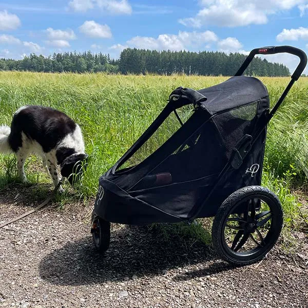 Petique Breeze Pet Jogger Stroller incl. Free Rain Cover & Bike Adapter