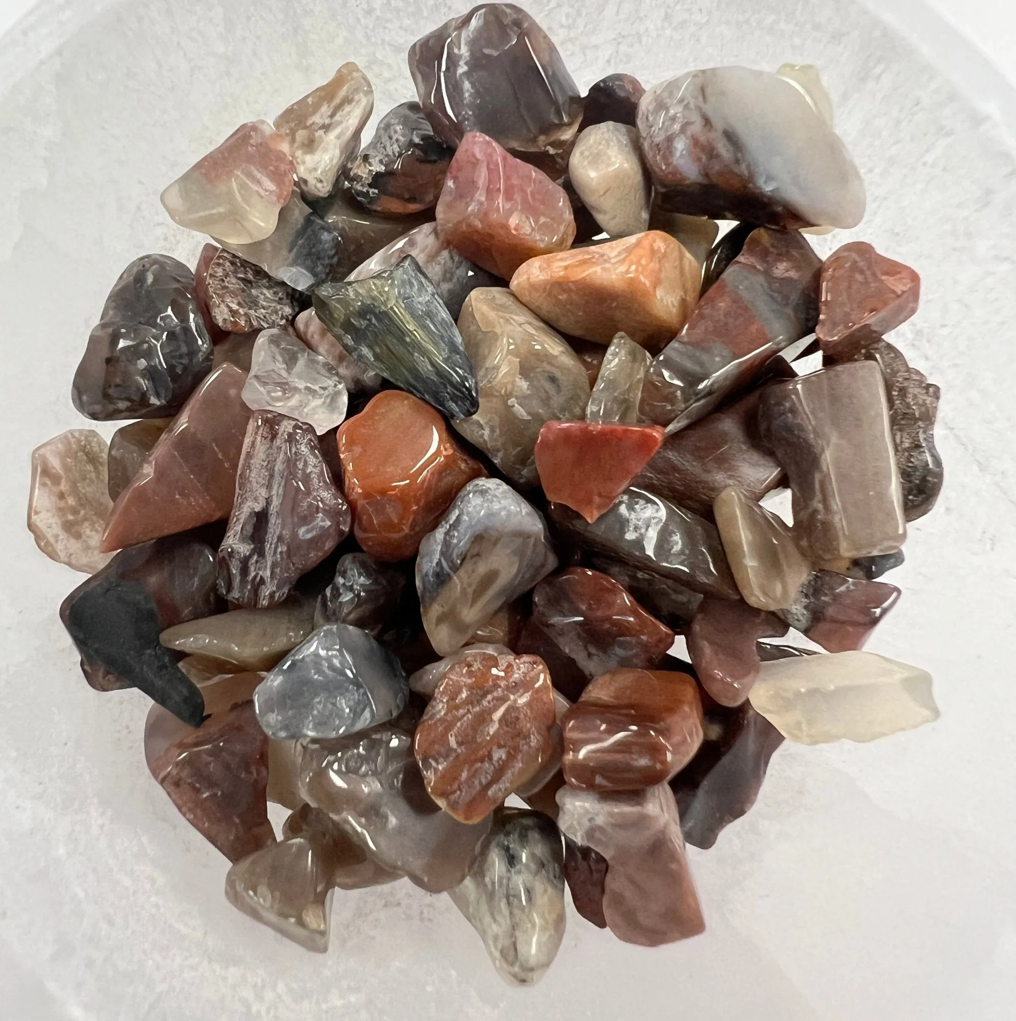 Petrified Wood Gemstone Chips