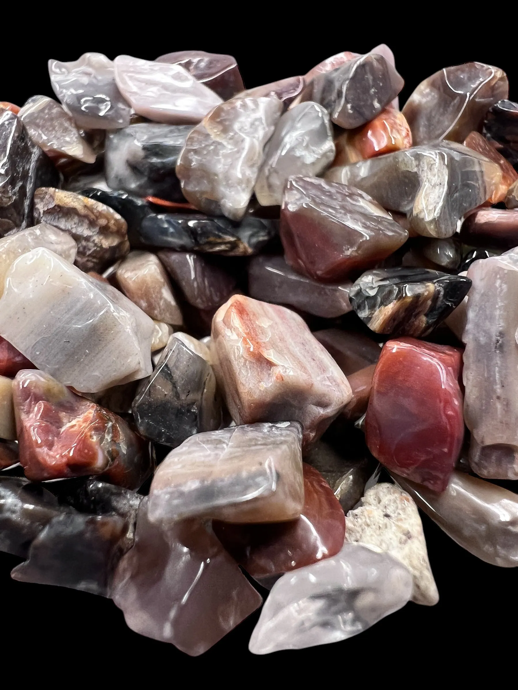 Petrified Wood Gemstone Chips