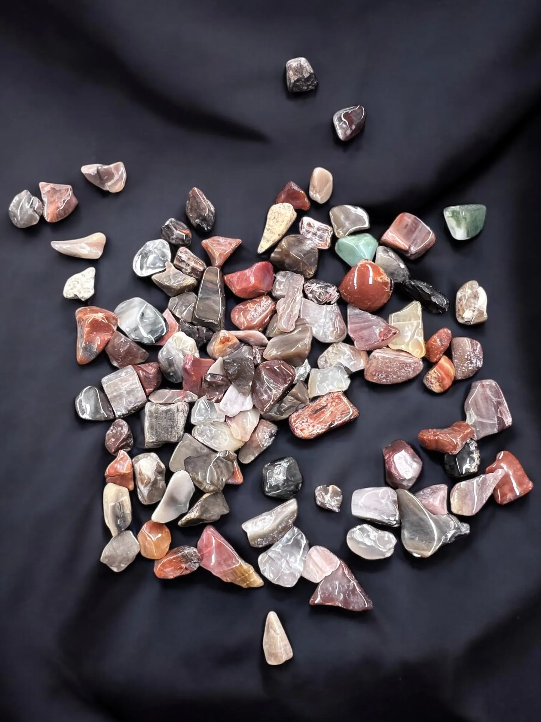 Petrified Wood Gemstone Chips