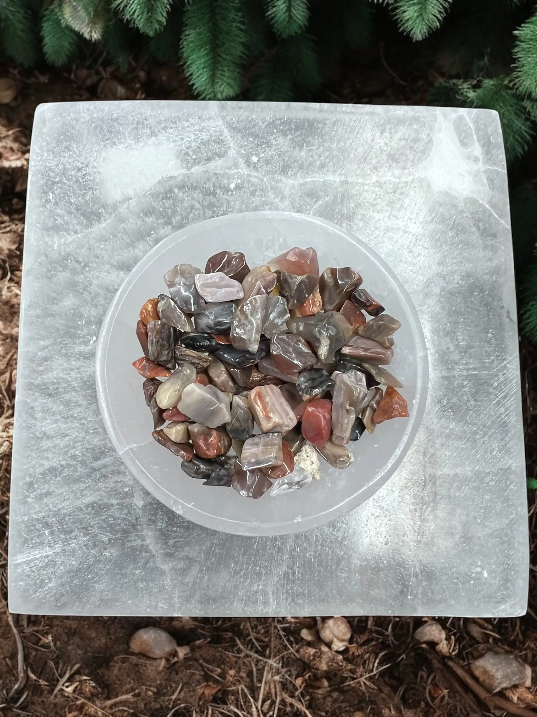 Petrified Wood Gemstone Chips