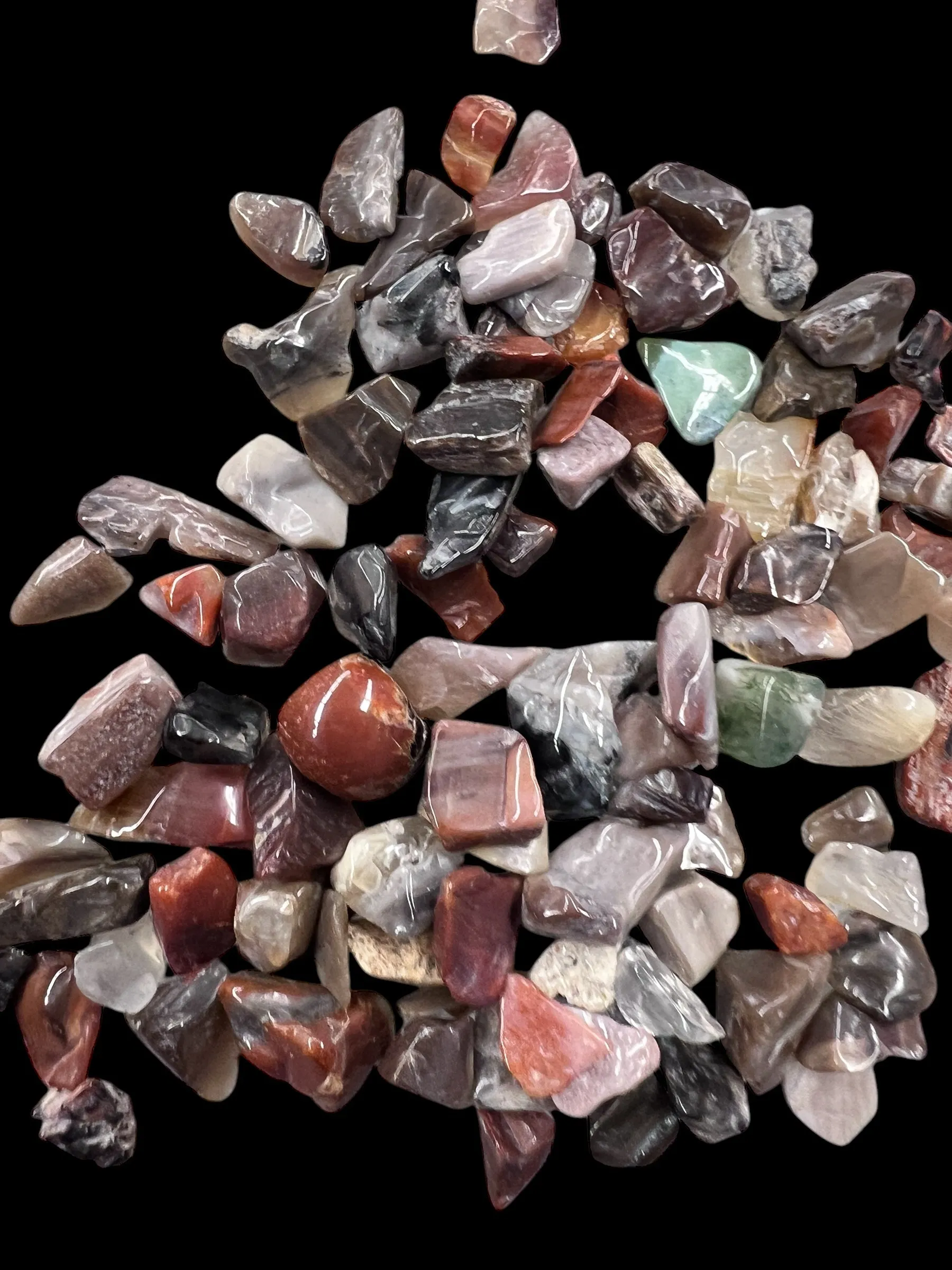 Petrified Wood Gemstone Chips