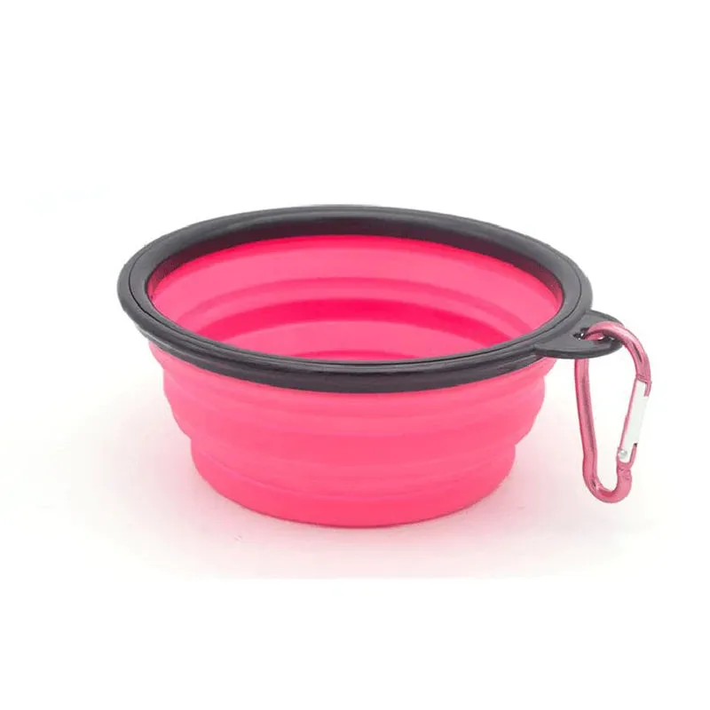 Portable Puppy Water Container with Carabiner