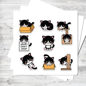 PT97 - STICKERS - BLACK CAT CCBVY