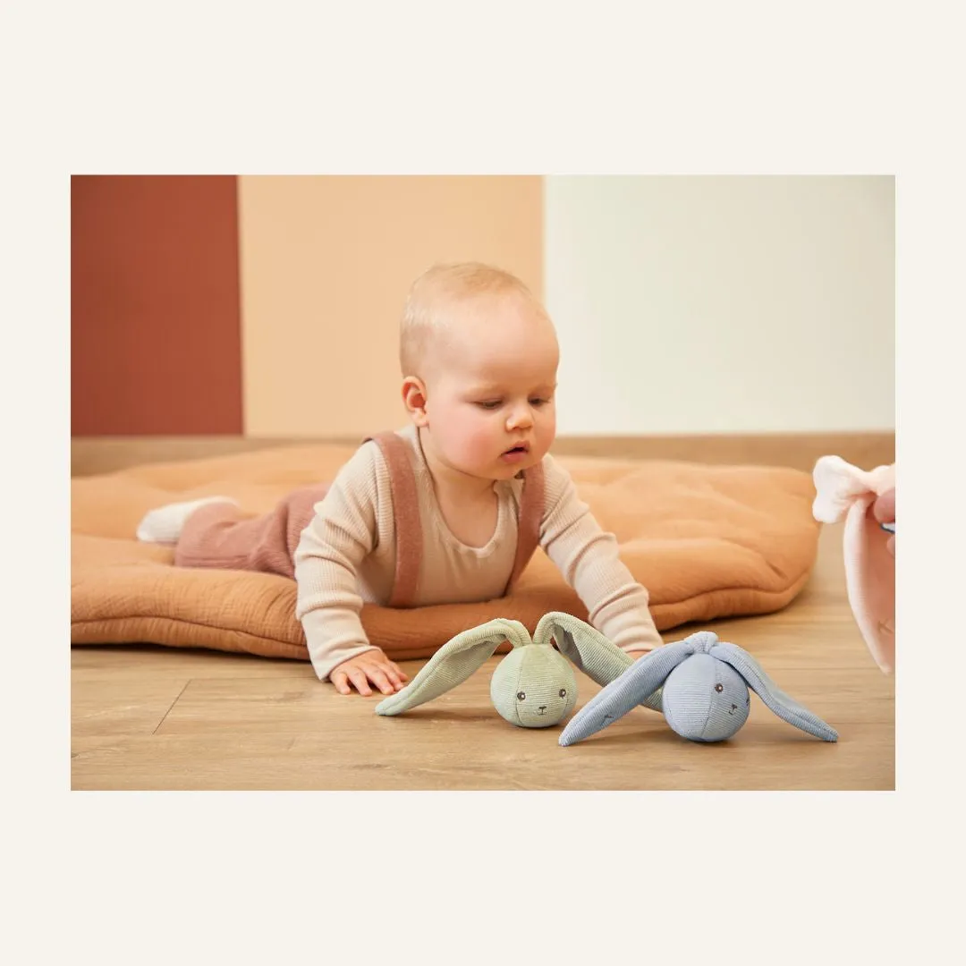 Rabbit Rattle Ball