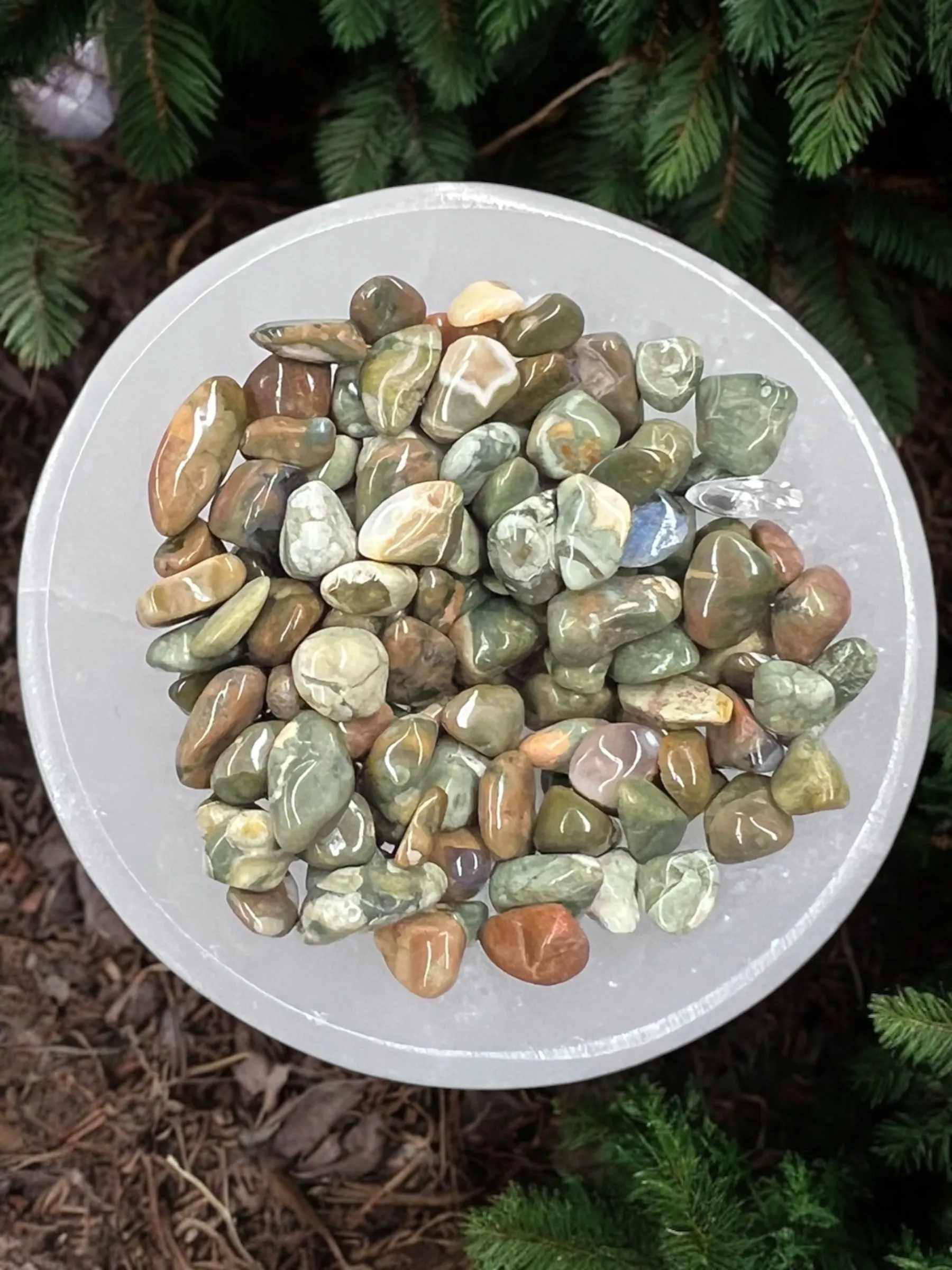 Rainforest Jasper Chips