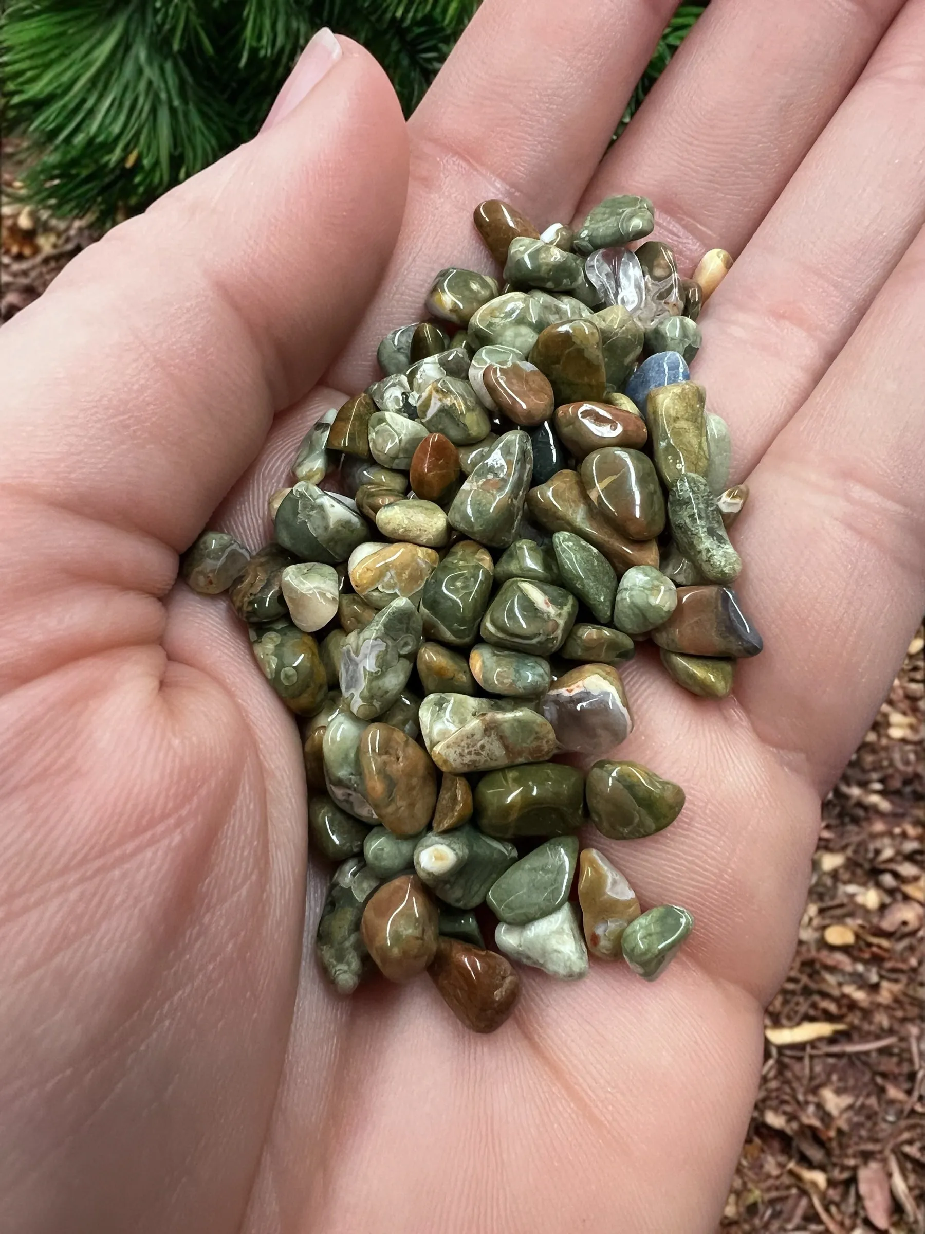 Rainforest Jasper Chips