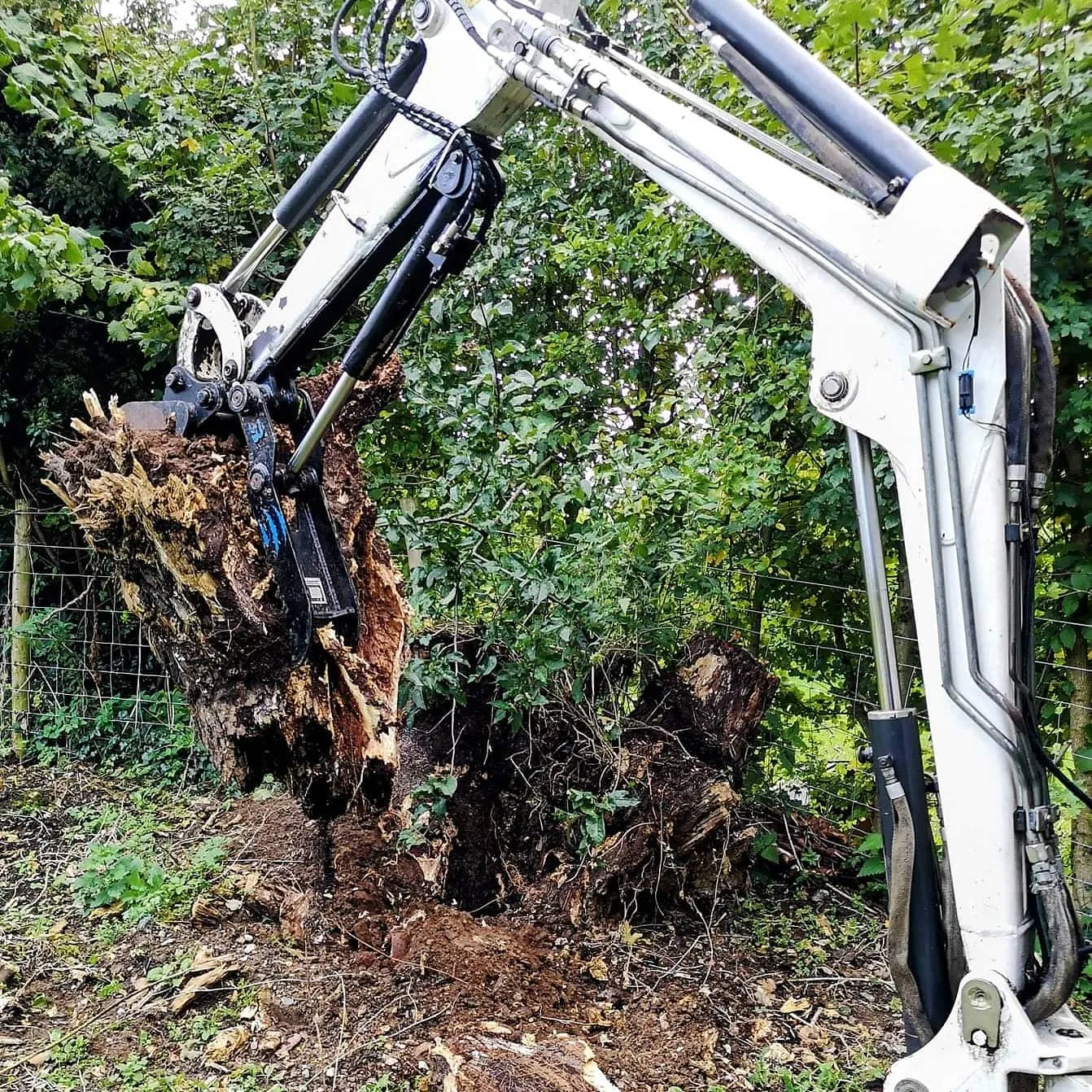 Raptor 800 Hydraulic Excavator Thumb - 2 to 4 tonne