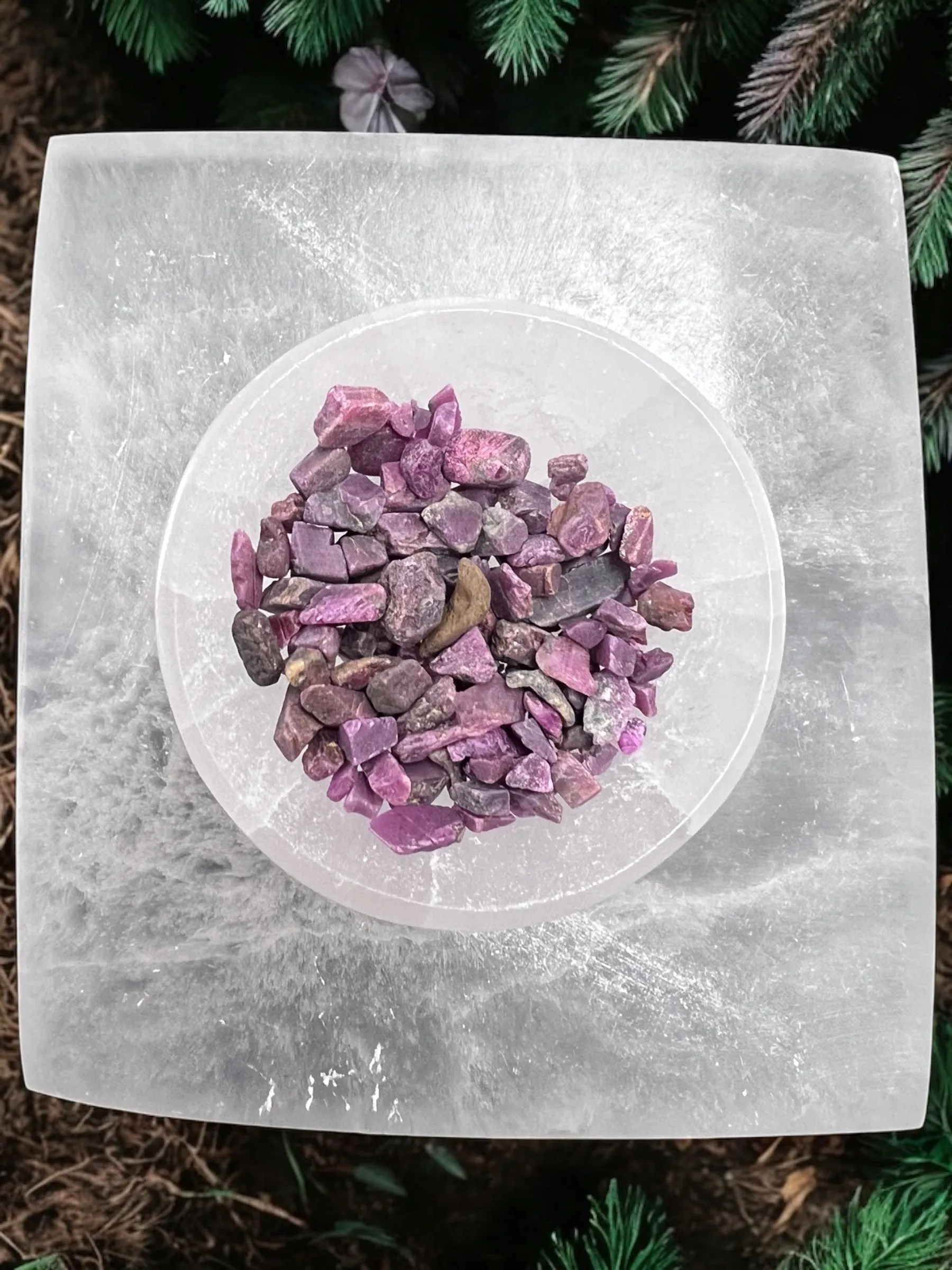 Ruby Chips