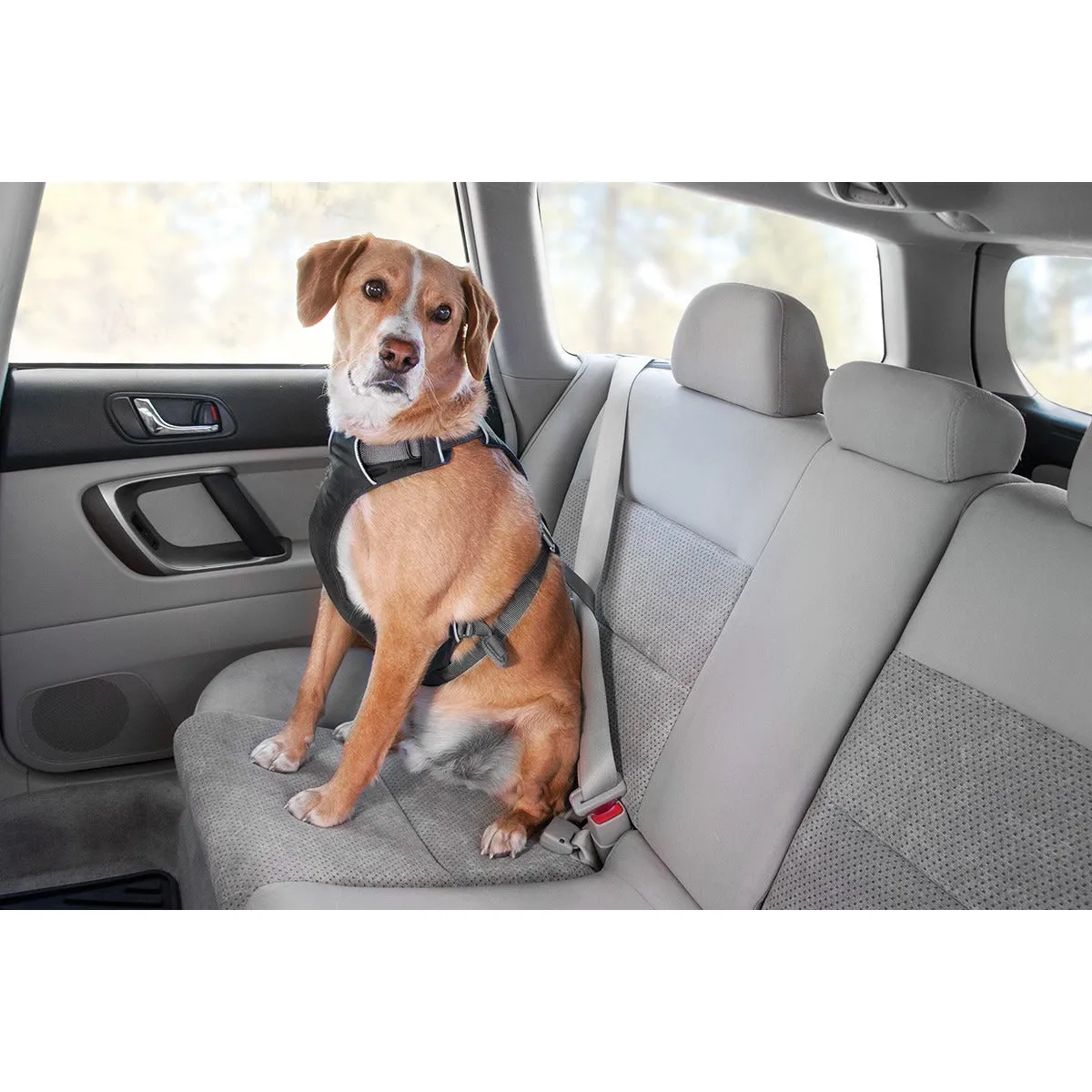 Ruffwear® | Load Up™ Vehicle Restraint Harness