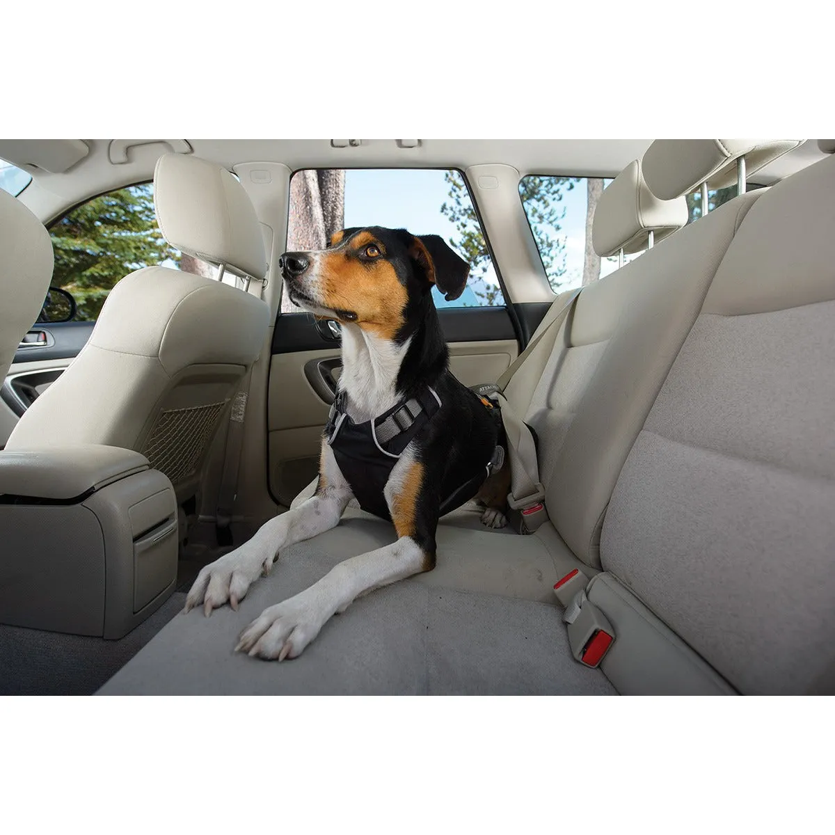Ruffwear® | Load Up™ Vehicle Restraint Harness