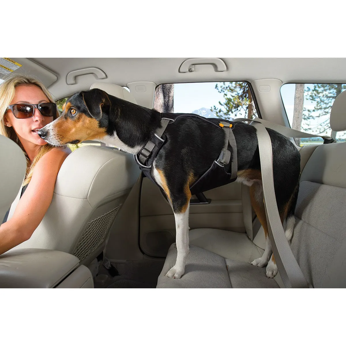 Ruffwear® | Load Up™ Vehicle Restraint Harness