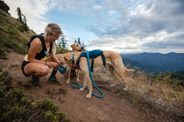 Ruffwear Switchbak Harness Blue Moon