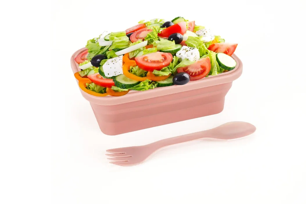 Silicone Lunch Container