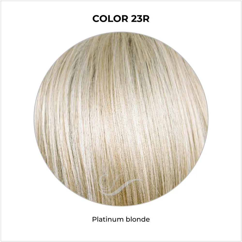 Sleek & Straight by TressAllure (Basic Cap-Mono Crown Wig)
