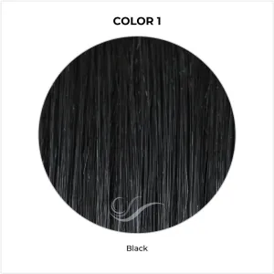 Sleek & Straight by TressAllure (Basic Cap-Mono Crown Wig)