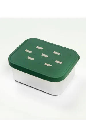 Snack Box - Alligator