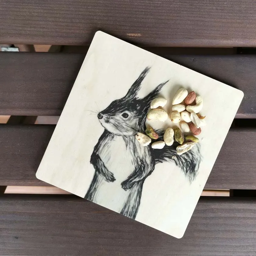 Squirrel in the pan