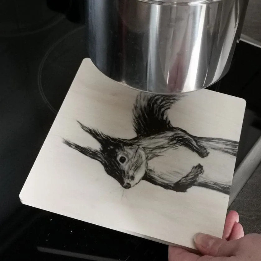Squirrel in the pan