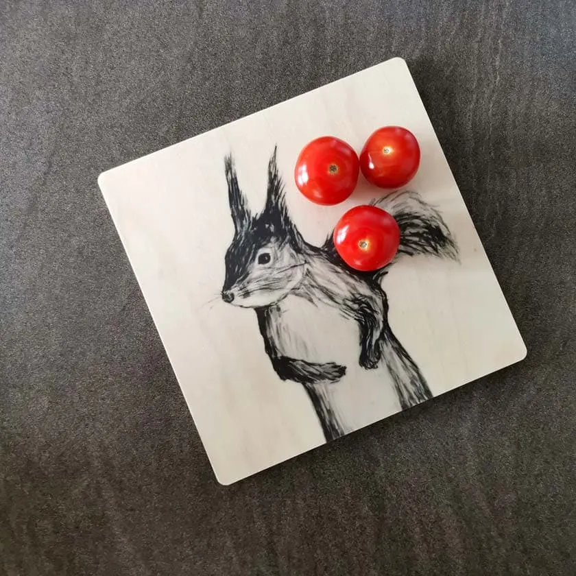 Squirrel in the pan